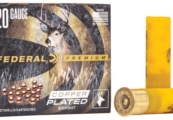 Box of Federal Premium 20-gauge 3" #2 buckshot shells (18 pellets per shell) with visible product label and copper-plated buckshot pellets.