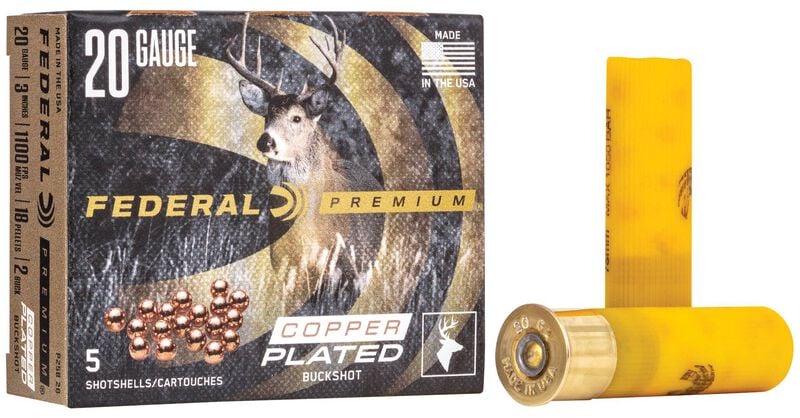 Box of Federal Premium 20-gauge 3" #2 buckshot shells (18 pellets per shell) with visible product label and copper-plated buckshot pellets.