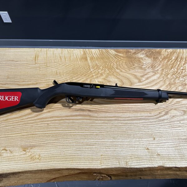 Ruger 10/22 synthetic stock .22 LR rifle at Range Arts